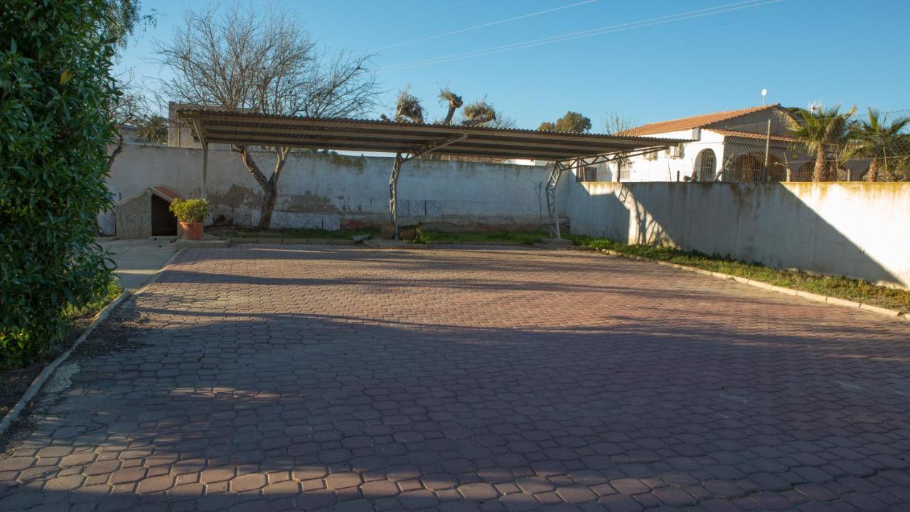 Estudio Adosado Con Jardin Y Parking Privado Аликанте Экстерьер фото
