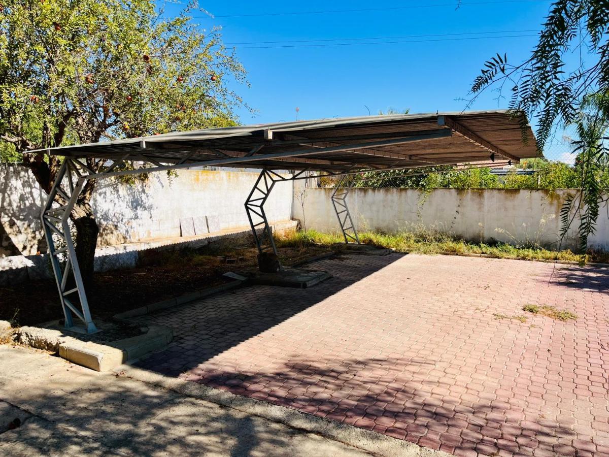 Estudio Adosado Con Jardin Y Parking Privado Аликанте Экстерьер фото